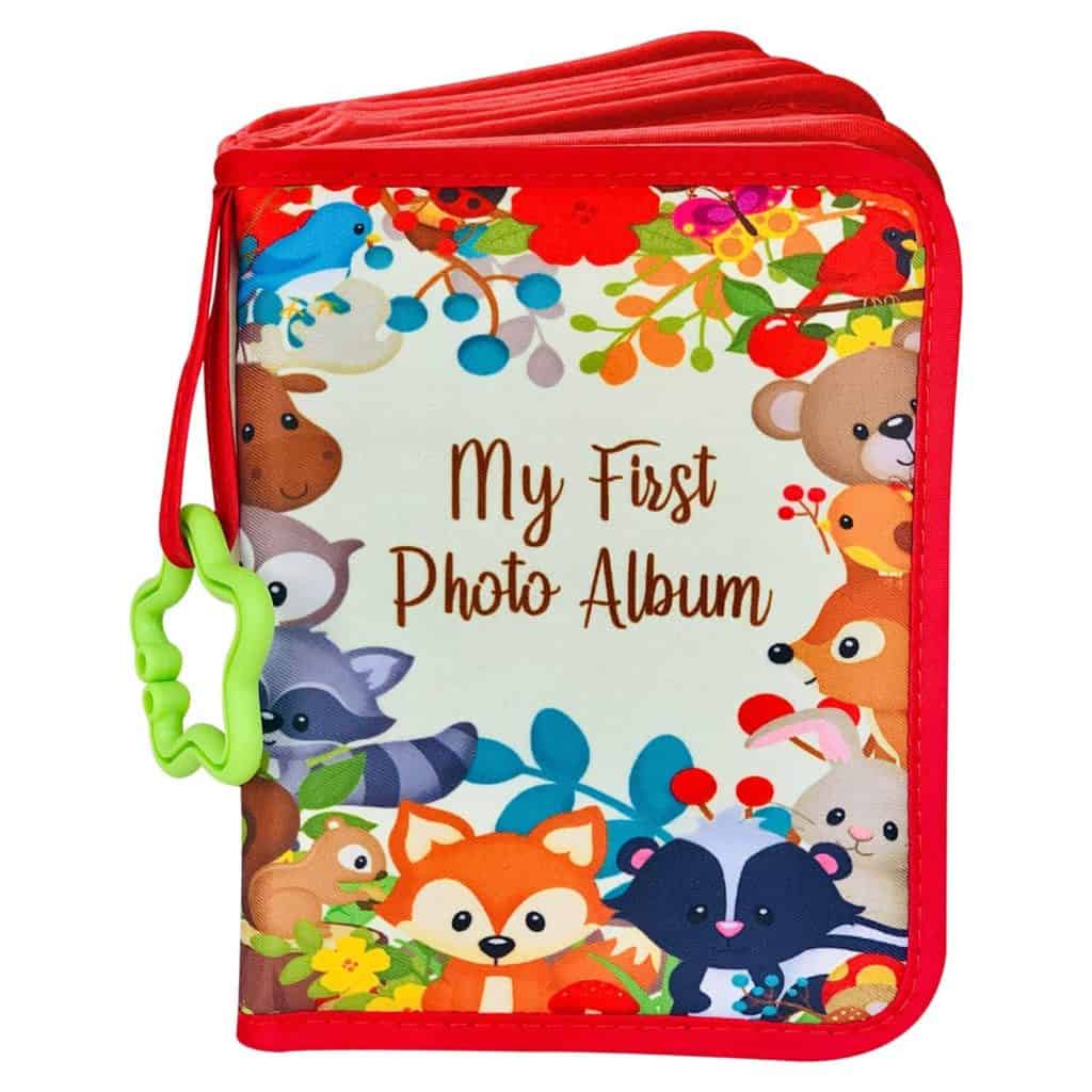 baby's first photo album