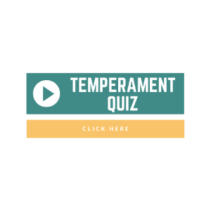 childrens temperament quiz