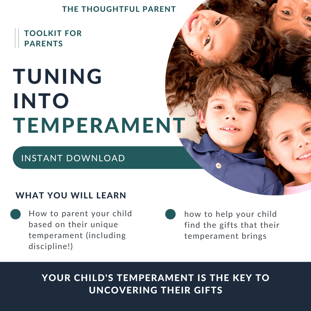 temperament toolkit